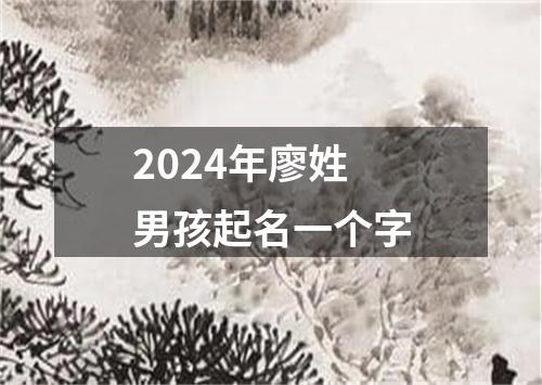 2024年廖姓男孩起名一个字