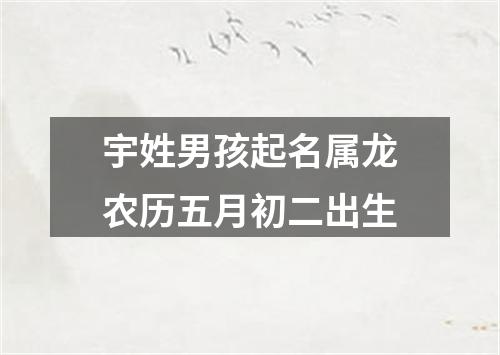 宇姓男孩起名属龙农历五月初二出生