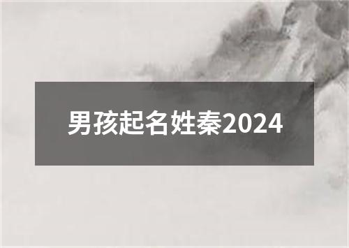 男孩起名姓秦2024