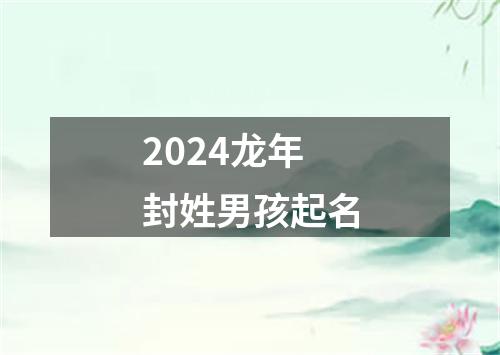 2024龙年封姓男孩起名