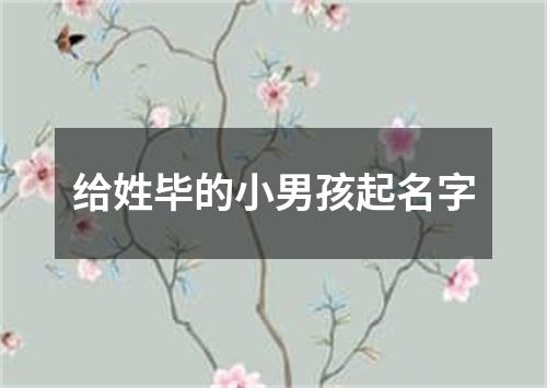 给姓毕的小男孩起名字