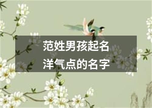 范姓男孩起名洋气点的名字