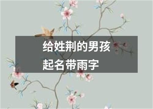 给姓荆的男孩起名带雨字