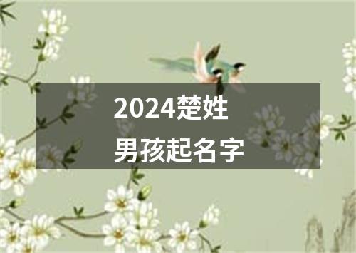 2024楚姓男孩起名字