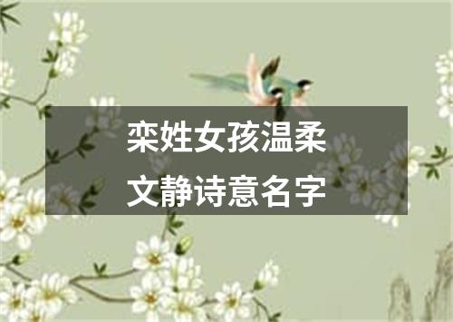 栾姓女孩温柔文静诗意名字