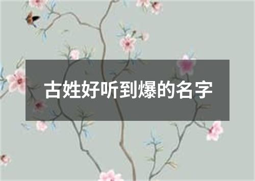 古姓好听到爆的名字