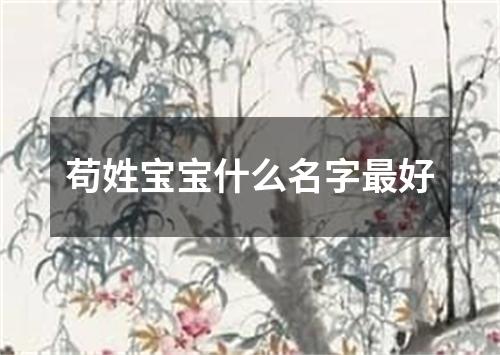 苟姓宝宝什么名字最好