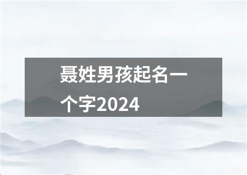 聂姓男孩起名一个字2024