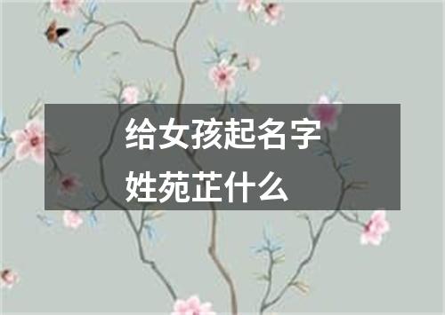 给女孩起名字姓苑芷什么