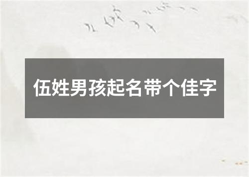 伍姓男孩起名带个佳字