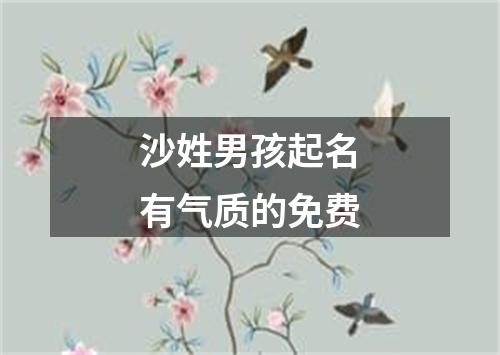 沙姓男孩起名有气质的免费