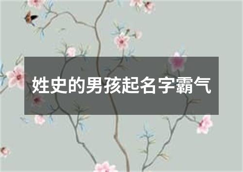 姓史的男孩起名字霸气