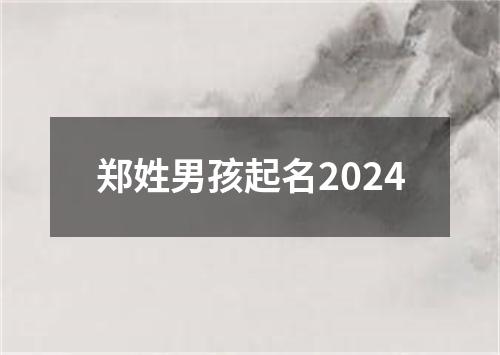 郑姓男孩起名2024