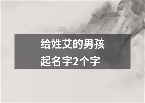 给姓艾的男孩起名字2个字