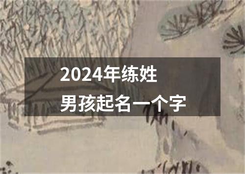 2024年练姓男孩起名一个字