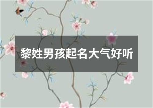 黎姓男孩起名大气好听