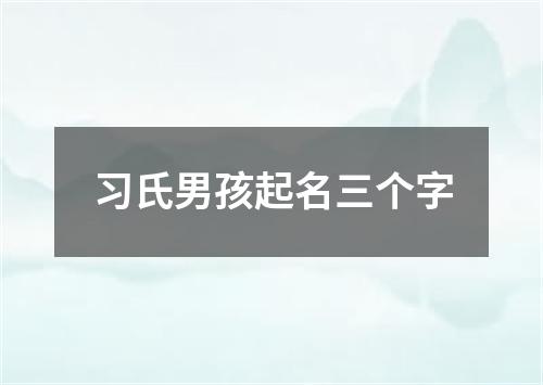 习氏男孩起名三个字