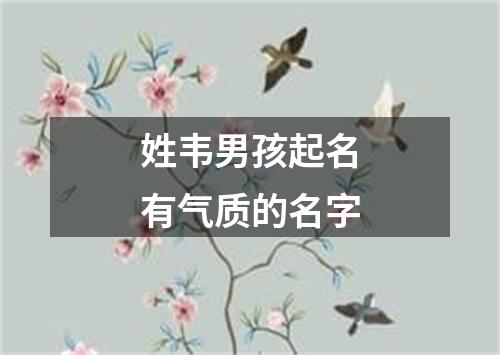 姓韦男孩起名有气质的名字