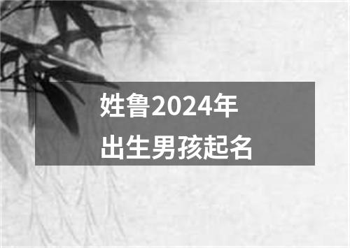 姓鲁2024年出生男孩起名