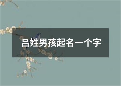 吕姓男孩起名一个字