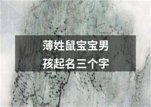 薄姓鼠宝宝男孩起名三个字