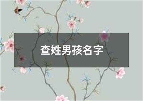 查姓男孩名字