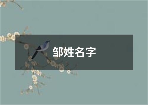 邹姓名字