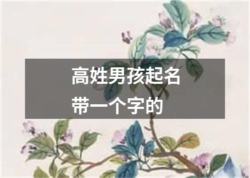 高姓男孩起名带一个字的