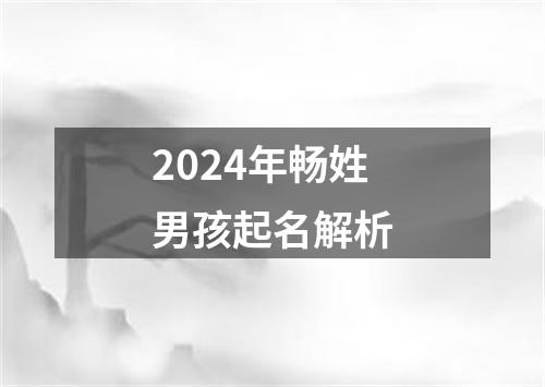 2024年畅姓男孩起名解析