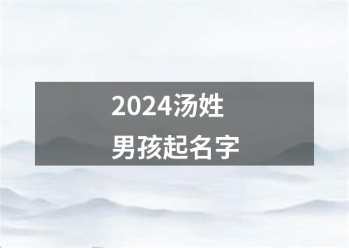 2024汤姓男孩起名字