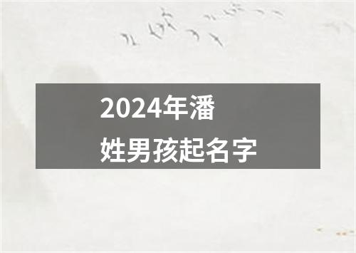 2024年潘姓男孩起名字