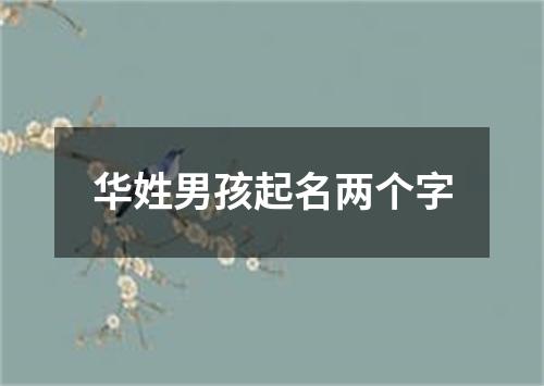 华姓男孩起名两个字