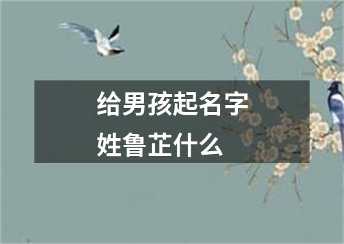 给男孩起名字姓鲁芷什么