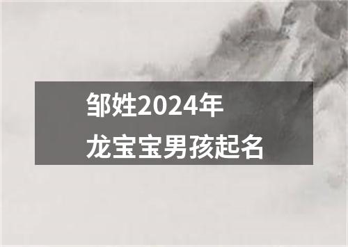 邹姓2024年龙宝宝男孩起名