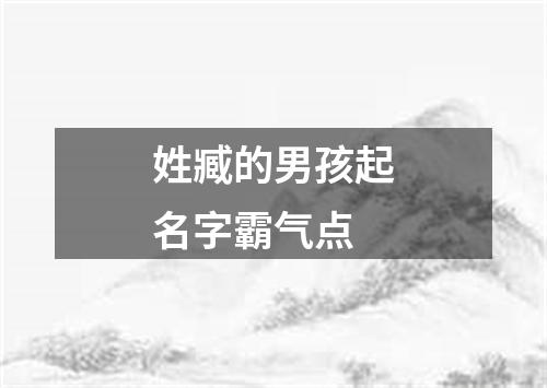 姓臧的男孩起名字霸气点