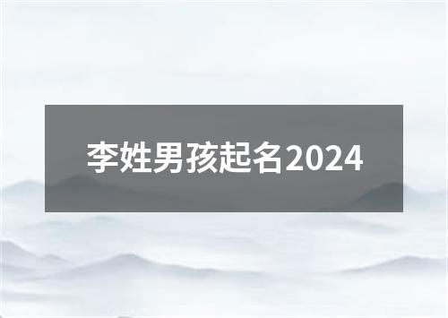 李姓男孩起名2024