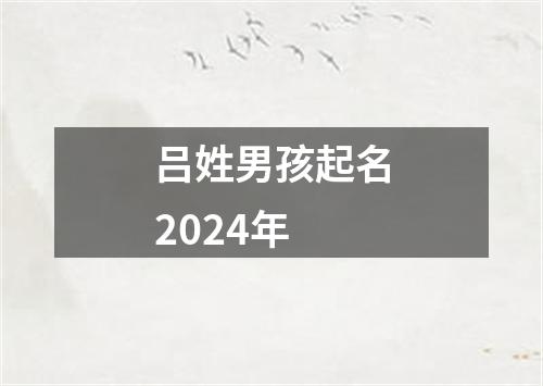 吕姓男孩起名2024年