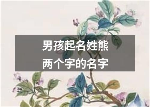 男孩起名姓熊两个字的名字