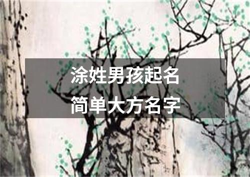 涂姓男孩起名简单大方名字