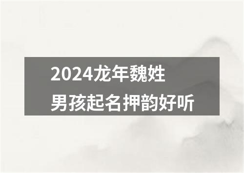 2024龙年魏姓男孩起名押韵好听