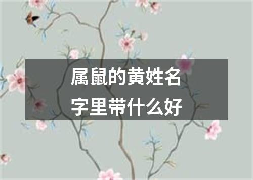 属鼠的黄姓名字里带什么好