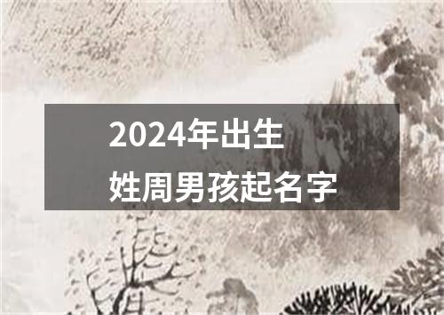 2024年出生姓周男孩起名字