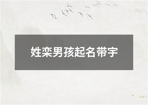 姓栾男孩起名带宇