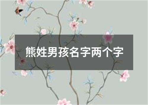 熊姓男孩名字两个字