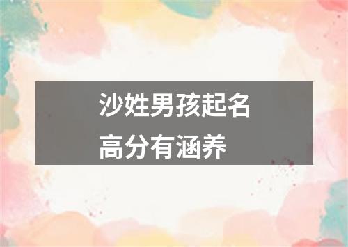 沙姓男孩起名高分有涵养