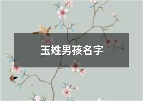 玉姓男孩名字