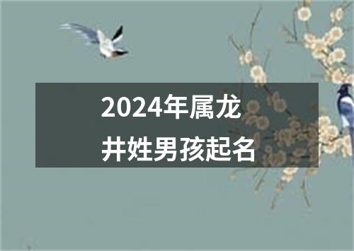 2024年属龙井姓男孩起名