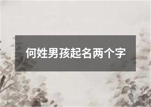 何姓男孩起名两个字