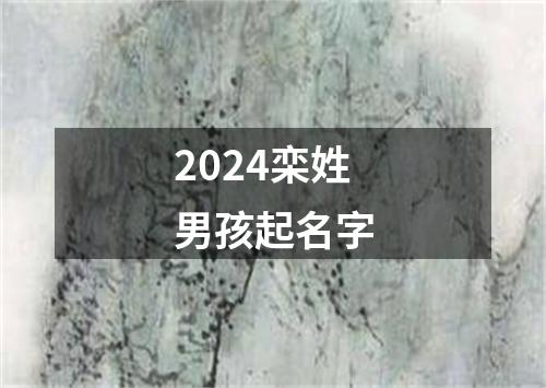 2024栾姓男孩起名字