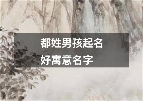 都姓男孩起名好寓意名字